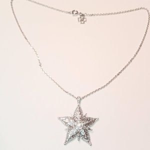Ann Taylor Silver Tone Rhinestone Northern Star Necklace